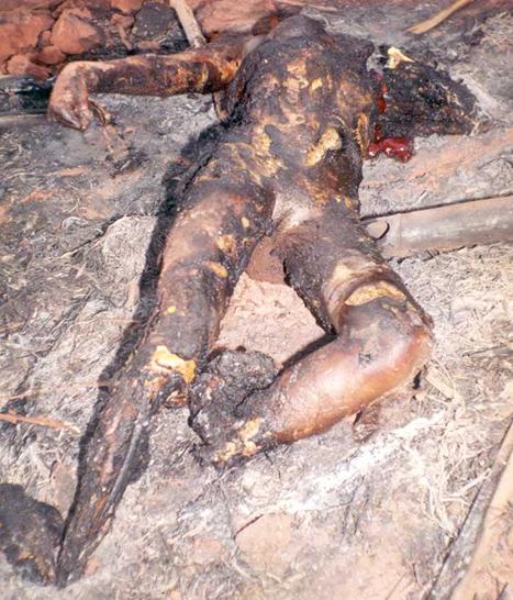 death-in-drc.jpg (64423 bytes)