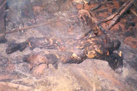 death-in-drc2.jpg (30728 bytes)